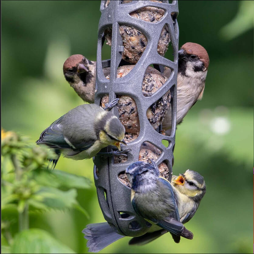 Vetbolhouder - Hello Sam 100% gerecycled