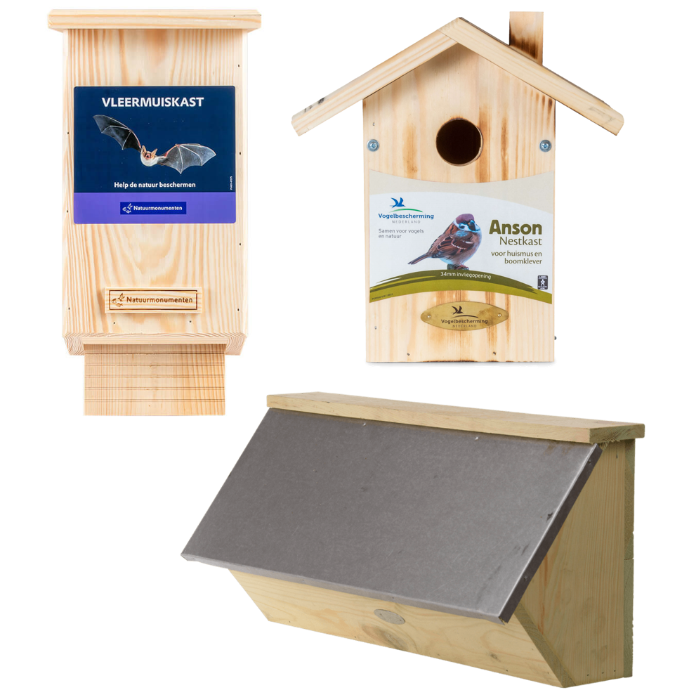 Ecologisch pakket – stad – Gierzwaluw, Huismus en vleermuizen