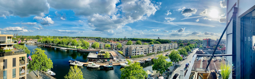 Hoe breng je meer diverse soorten naar je leefomgeving?