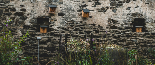 Gratis ecologisch advies bij je bestelling