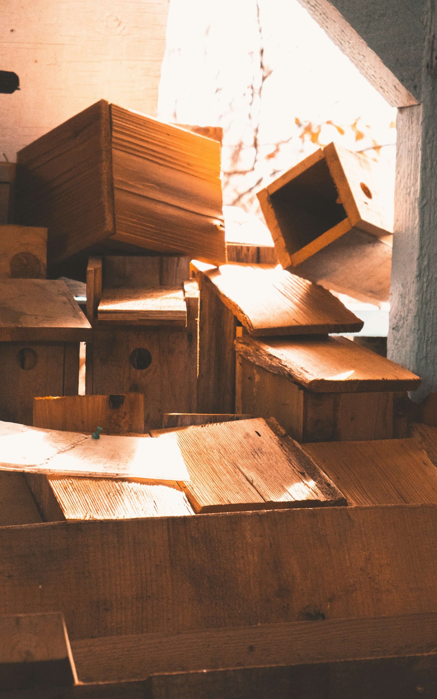 Nestkasten en vogelhuisjes