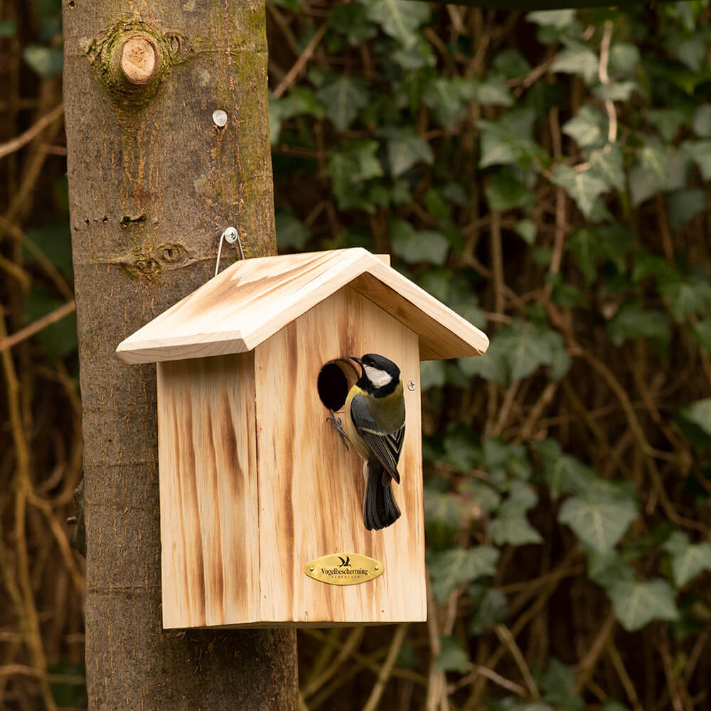 Nestkast huismus Anson Ø 34 mm