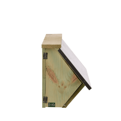 Nestkast gierzwaluw