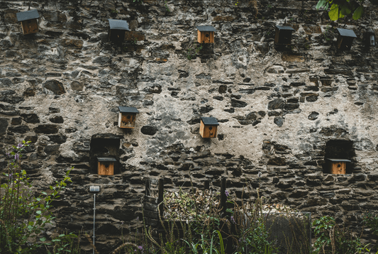 Ecologisch advies bij uw bestelling