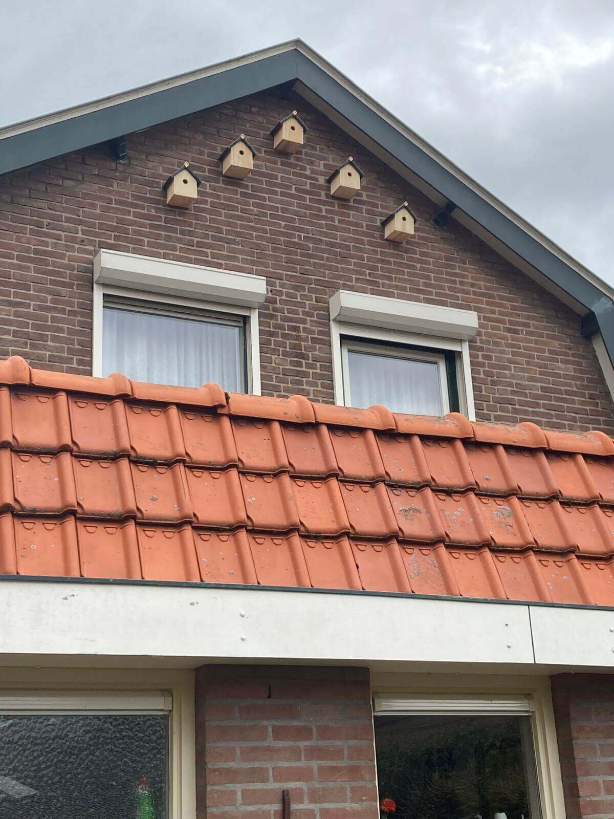 Nestkast Huismus Fort Fauna Ø 34 mm