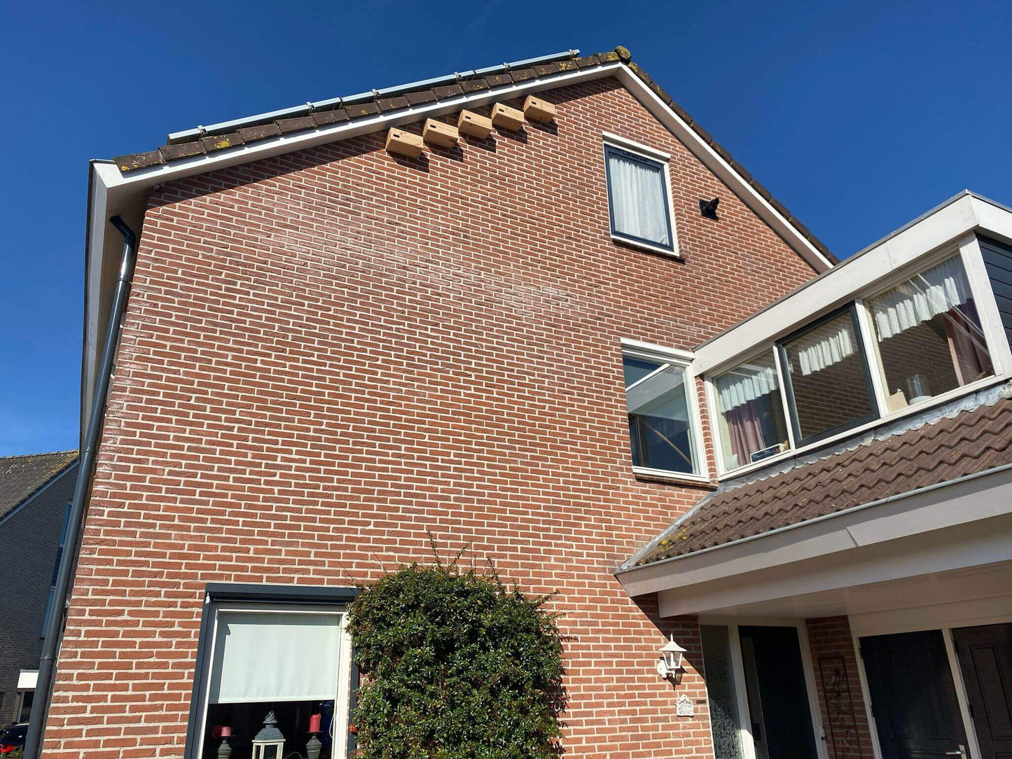 Nestkast gierzwaluw Fort Fauna